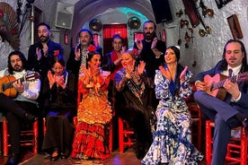 Flamencoshow i Cuevas Del Sacromonte