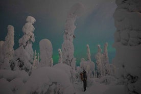 Aventura en raquetas de nieve para grupos pequeños de la aurora boreal desde Rovaniemi