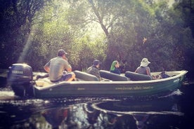 Delta del Danubio. Excursión en barco privado al bosque de Letea (visita guiada)