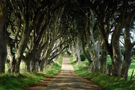 Excursão aos locais de filmagem de Game of Thrones na Irlanda do Norte e Calçada dos Gigantes saindo de Belfast