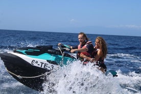 1-hour Maritime Safari in Tenerife