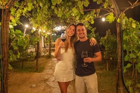 Cena privata e degustazione di vini in azienda vinicola a San Gimignano 