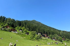 Rize and Ayder Tour Mountains and River