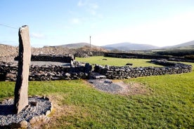 Visite privée d'une demi-journée de la péninsule de Dingle et de Slea Head