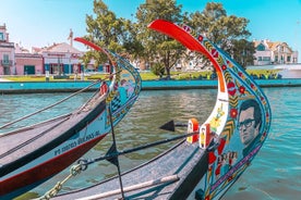 Aveiro og Costa Nova halvdagstur fra Porto med elvecruise