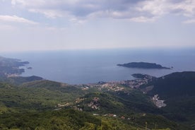 Traslados privados desde el aeropuerto y la ciudad de Podgorica a Budva.