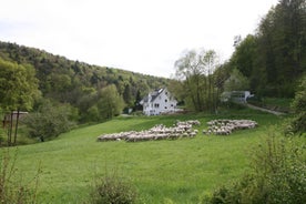 B&B Arlesbrunnen