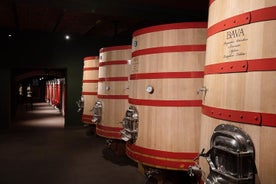 Tour of Monferrato among wines, Vermouth and local cheeses