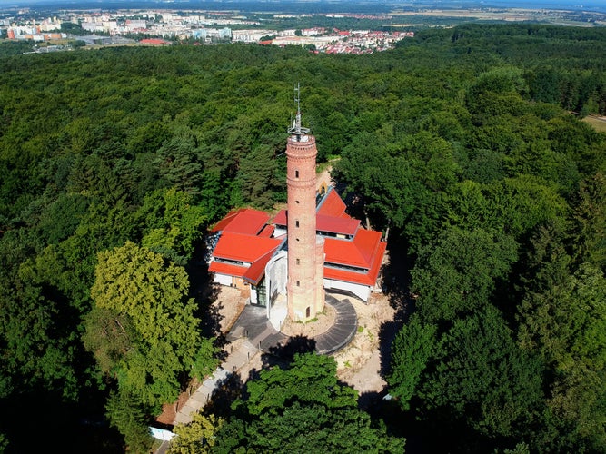 Observation and telecommunications tower in the forest, aerial view .