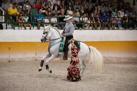 Andalusische Pferde und Flamenco-Show mit Transport