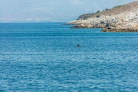 Cruise kun for voksne i Egeerhavet