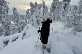 Levi: Lakeside forest snowshoeing for beginners