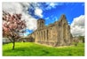 Sligo Abbey travel guide