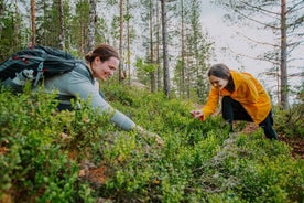 Caminhada em grupo pequeno e aventura culinária em uma floresta finlandesa