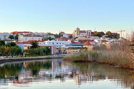 Passeio de barco no Rio Arade de Portimão à Cidade Medieval de Silves