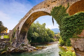 Excursion d'une journée dans la nature : parc national des pics d'Europe