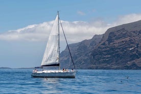 Los Gigantes: Sailing Excursion with Swimming, Drink & Tapas