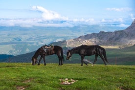 2 timers privat ridetur i Tbilisi