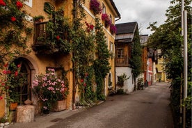 Gita guidata di un giorno a Hallstatt con un locale di Vienna