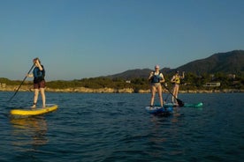 Geführte Stand Up Paddle (SUP) Lektion und Tour