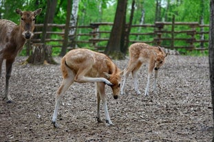 Miskolc Zoo