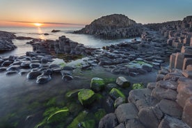 Recorrido por la Calzada de los Gigantes, el puente colgante, el castillo de Carrickfergus y Dark Hedges