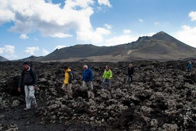 Los Volcanes 자연 보호 지구에서의 3 시간 워킹 투어