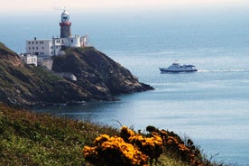 Dublin Bay: Cruise from the City Centre to Dun Laoghaire