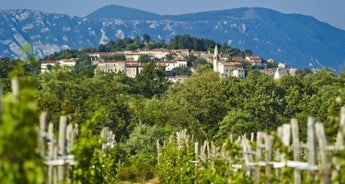 Food & Wine Tasting Holiday in Slovenia