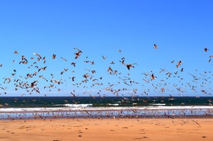 Photo of aerial view of Costa da Caparica coastline of glorious sandy beaches, powerful Atlantic waves, Portugal.