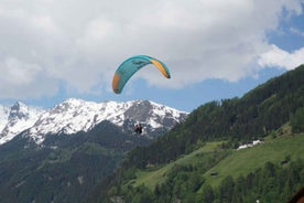 Neustift im Stubaital: Morning Paragliding Experience