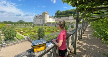 Loire Cycle Path: Wild-romantic all the way to the sea  (from Tours to St-Nazaire)