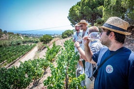 Catamaran à Barcelone, visite de vignobles en petit groupe et dégustation