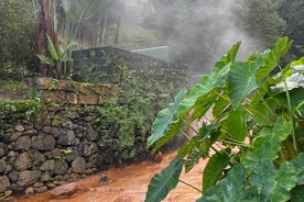 Full Day Private Tour in Furnas Valley Breath of the volcano 