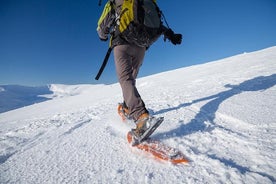 Tromso Guided Snowshoe Trip