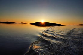 Clew Bay Cruise, Westport (90 minuten)