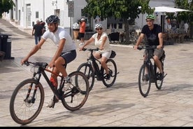 Passeio de bicicleta elétrica com almoço na fazenda