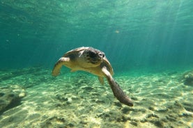 Тур на квадроциклах и багги Акамас и водопады Адониса