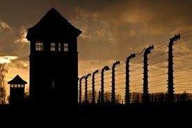 Lítill hópur Auschwitz ferð frá Lodz með hádegisverði