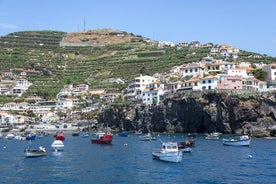 Excursion en bateau sur la mer vivante à Madère