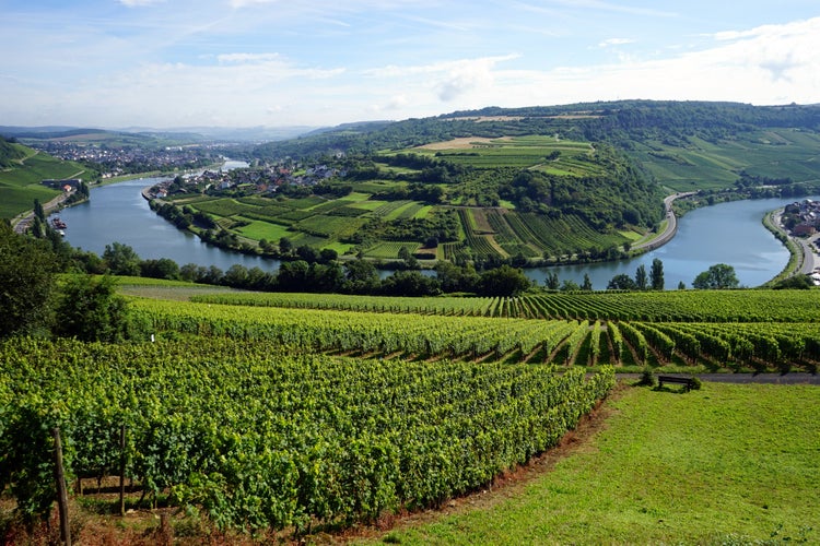 Mosell valley on the border Luxembourg and Germany.jpg