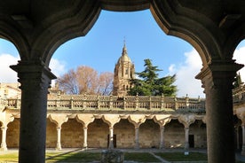 Visita guiada privada completa à cidade de Salamanca