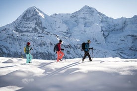 Excursion en raquette au départ d'Interlaken