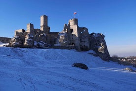 From Krakow: "The Witcher" Ogrodzieniec Castle Private Trip