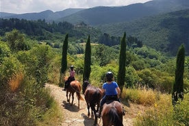 Équitation en Toscane pour les cavaliers expérimentés: Randonnée d'une journée complète