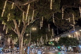 Tour notturno a Malaga in auto elettrica.Goditi il tramonto