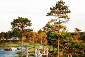 Kemeri National Park Bog Trail near Riga