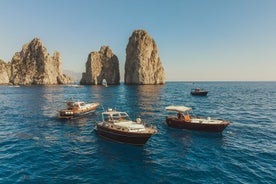 Ilha de Capri: passeio de barco privado de Sorrento ou Positano