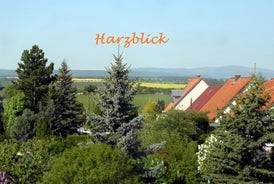 Ferienhaus "Harzblick