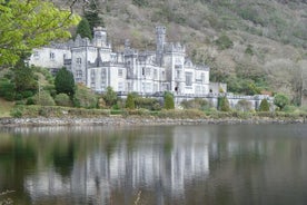 Excursion privée d'une journée au Connemara